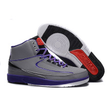 Air Jordan 2 (II) Iron Purple Safari Infrared 23 Dark Concord Black Shoes