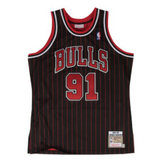 Dennis Rodman 1995-96 Chicago Bulls Jersey