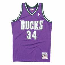 Milwaukee Bucks 2000-01 Ray Allen Jersey